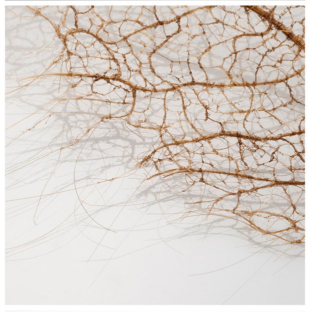 艺术家Jenine Shereos 用头发编成的叶子