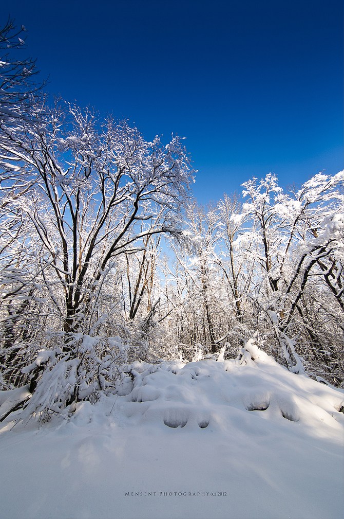 让我们回味一下银妆素裹的冬季雪的美景摄影
