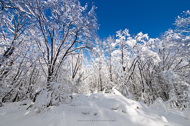让我们回味一下银妆素裹的冬季雪的美景摄影