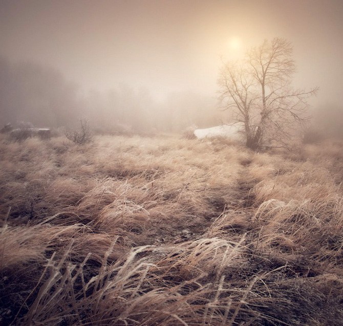 俄罗斯摄影师镜头下的瑟瑟寒风的冬天