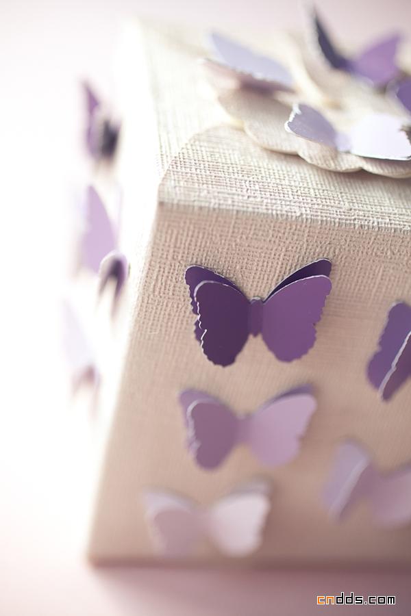 漂亮的蝴蝶包装盒