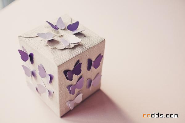 漂亮的蝴蝶包装盒