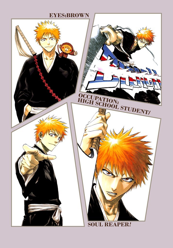 [久保带人]BLEACH---死神