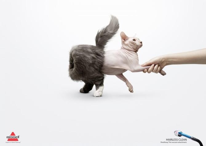 极富创意的关于猫独特广告设计