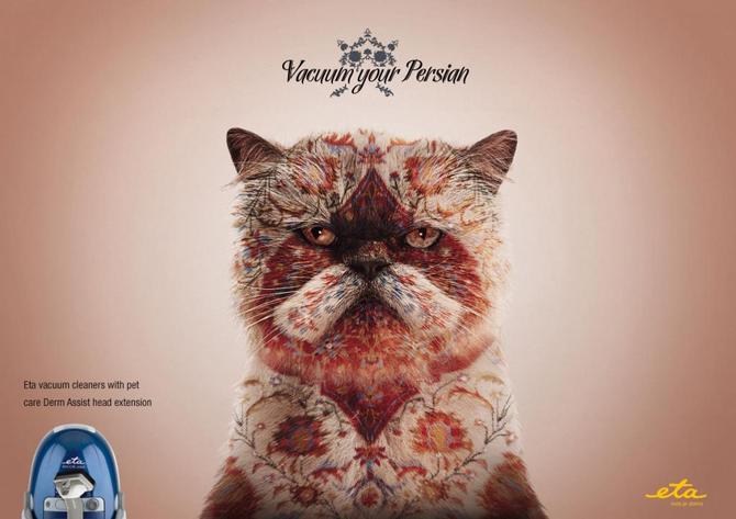 极富创意的关于猫独特广告设计