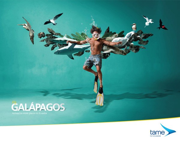 Tame Ecuador(航空公司)独树一帜的系列创意广告
