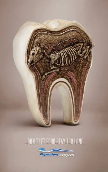Pepsodent牙刷系列创意广告之化石篇