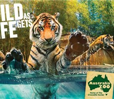 澳大利亚动物园系列宣传广告欣赏