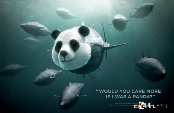 WWF：如果金枪鱼是大熊猫