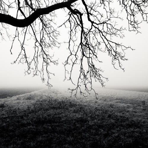 当这世界只剩黑白-Michael Schlegel黑白风景摄影