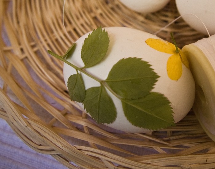 怎么煮出漂亮的印花鸡蛋