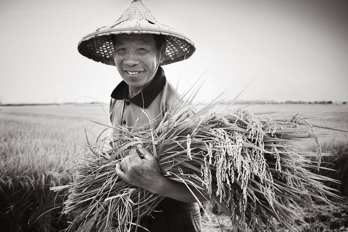 幸福的滋味-台湾幸福八宝白米包装设计