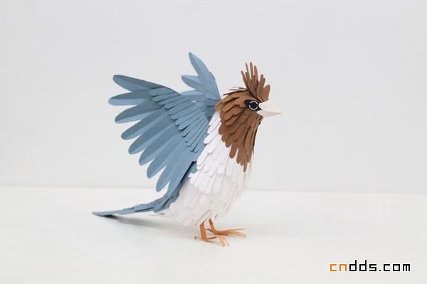 跃然纸上的小鸟儿