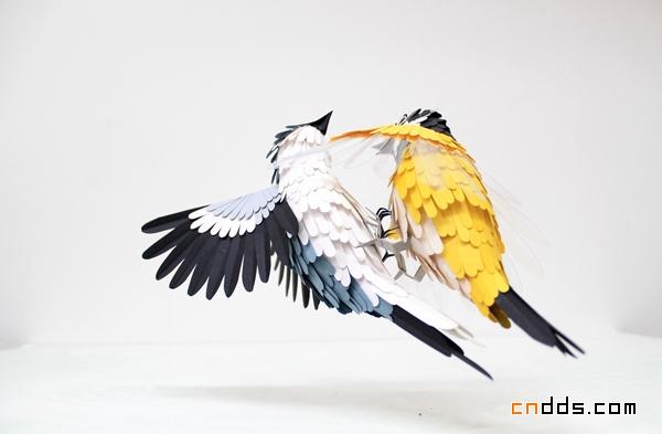 跃然纸上的小鸟儿