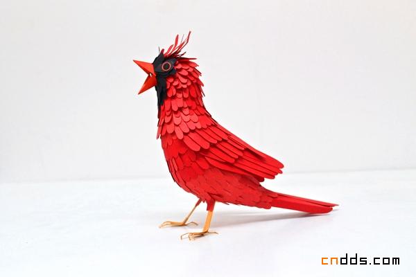 跃然纸上的小鸟儿