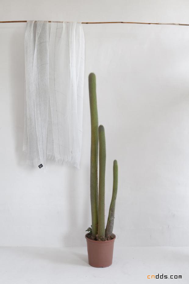 2012国际当代家具展（ICFF）编辑大奖