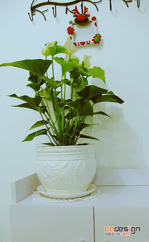 清新家居装扮美屋