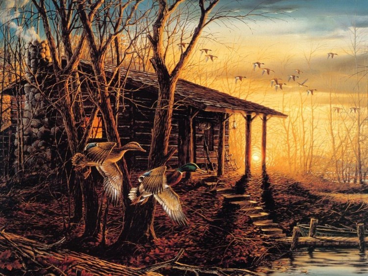 美国Terry Redlin 美景写实佳作