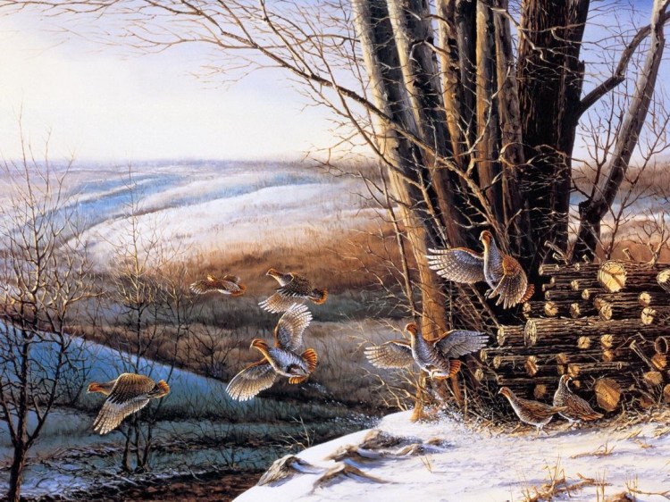 美国Terry Redlin 美景写实佳作