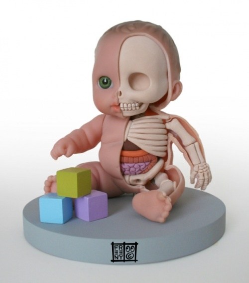 Jason Freeny超酷的玩偶解剖式雕塑