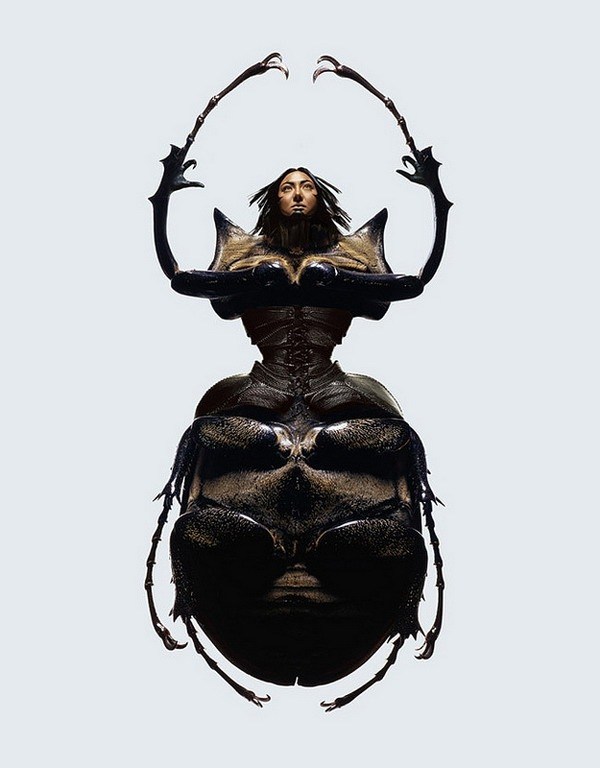 视觉冲击：美女与昆虫系列摄影
