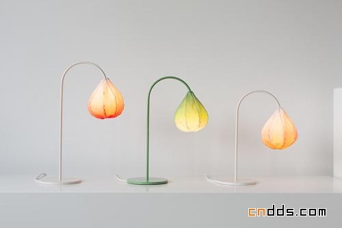 Bloom Lamps 燈具設(shè)計(jì)