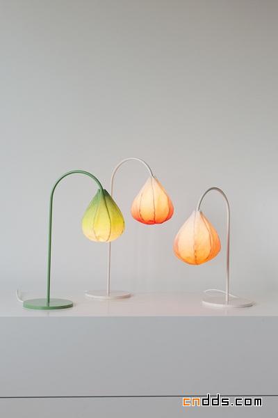 Bloom Lamps 燈具設(shè)計(jì)