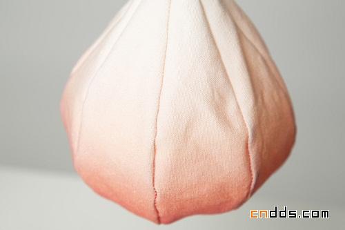 Bloom Lamps 燈具設計
