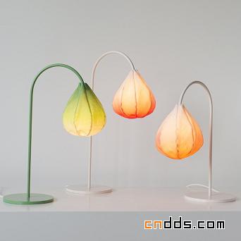 Bloom Lamps 燈具設計