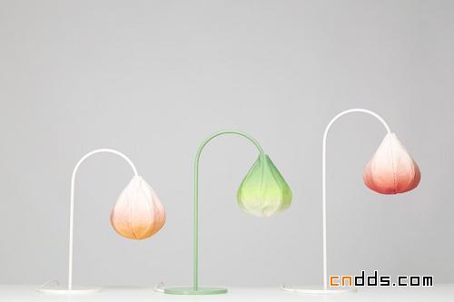 Bloom Lamps 燈具設(shè)計(jì)