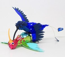 Diana Beltran Herrera：飞鸟变身记之跃然纸上