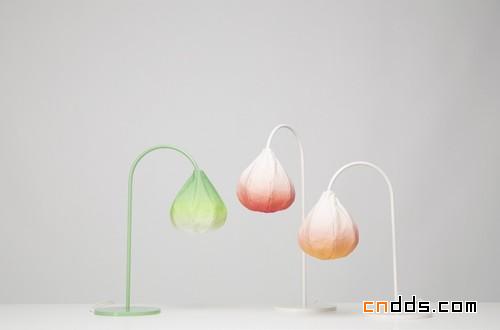 花朵带来的夜色礼物