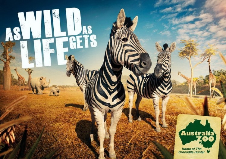 2012最新动物平面广告