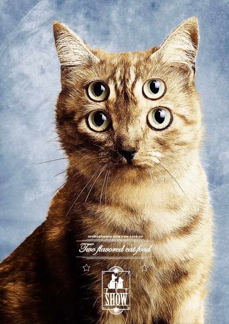 2012最新动物平面广告