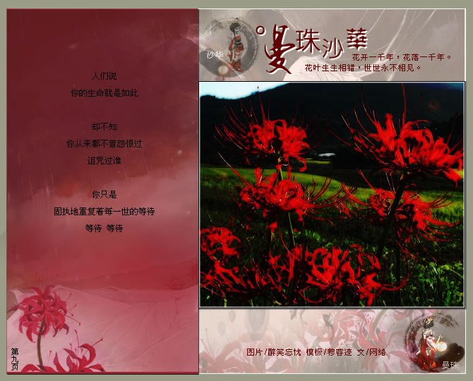 花、你见过么