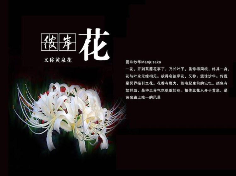 花、你見(jiàn)過(guò)么