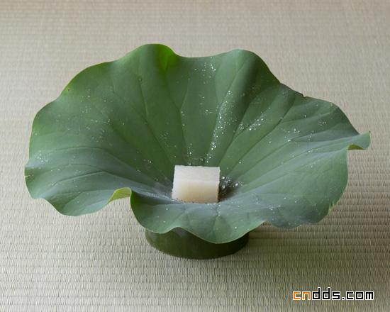 木村宗慎：一日一叶