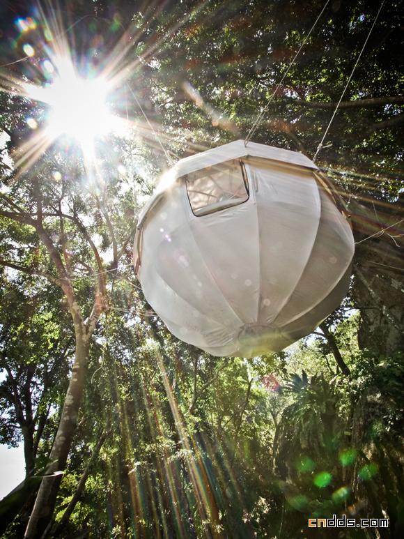 Cocoon Tree 帐篷设计