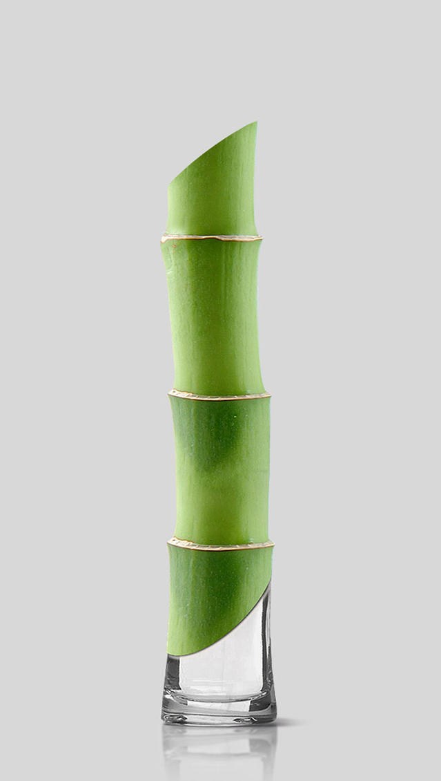 纯自然-zen香水包装设计 