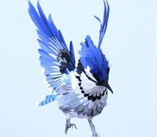 Diana Beltran Herrera：飞鸟变形记之跃然纸上