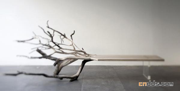 Fallen Tree 板凳