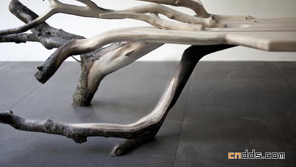 Fallen Tree 板凳
