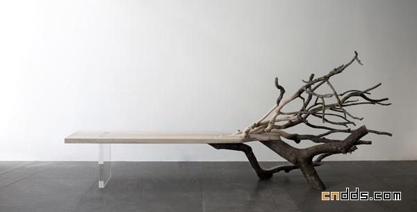 Fallen Tree 板凳