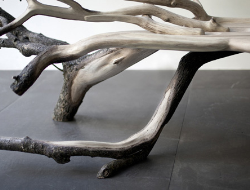 Fallen Tree 板凳