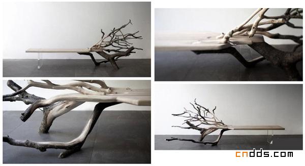 Fallen Tree 板凳