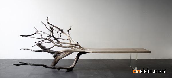 Fallen Tree 板凳