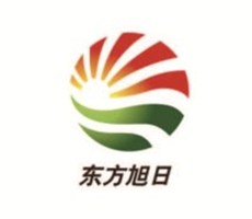 东方旭日LOGO设计