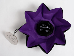 花瓣一样的巧克力概念纸盒包装