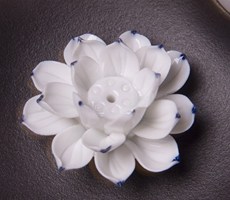 漂亮的香插