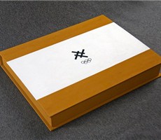 品牌视觉形象设计